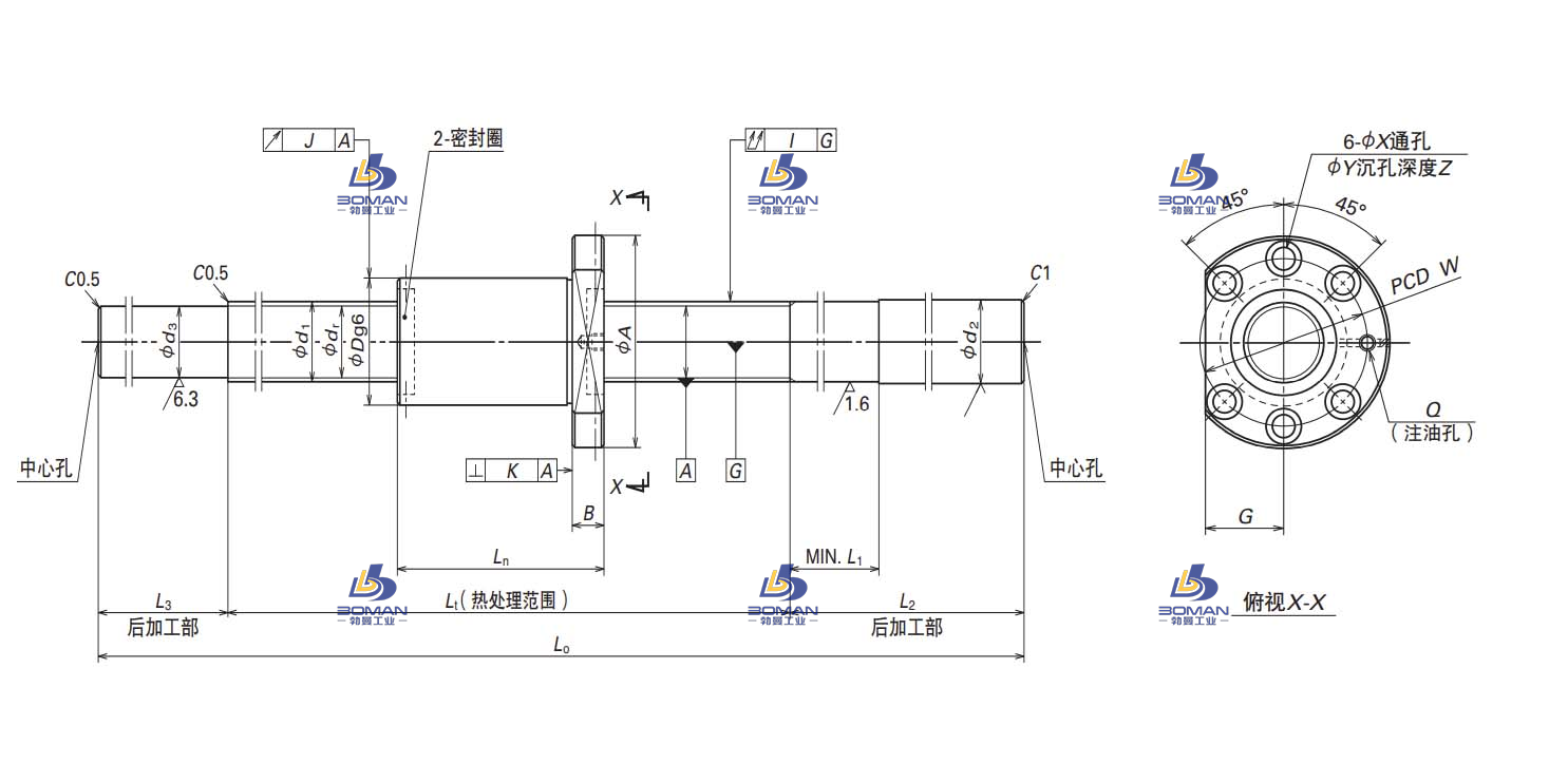 W2506SS-2ZY-C5Z5  BB L    5